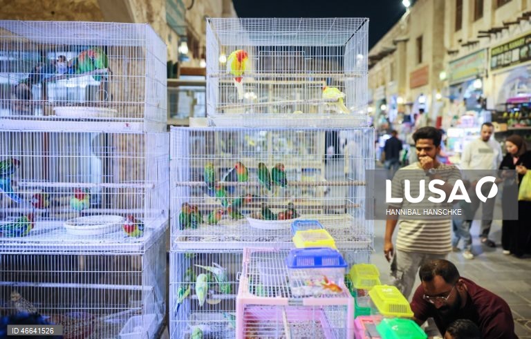 Qatar: Mercado de aves no mercado Souq Waqif, em Doha