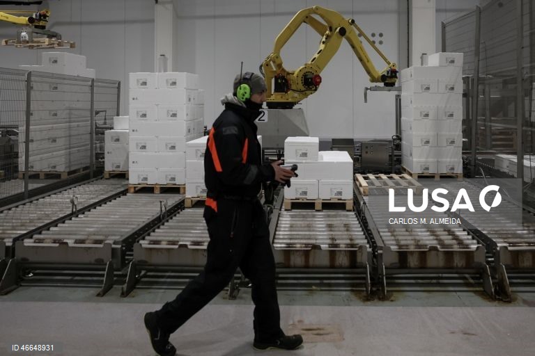 Processamento de pescado na empresa Leroy na ilha de Hitra na Noruega