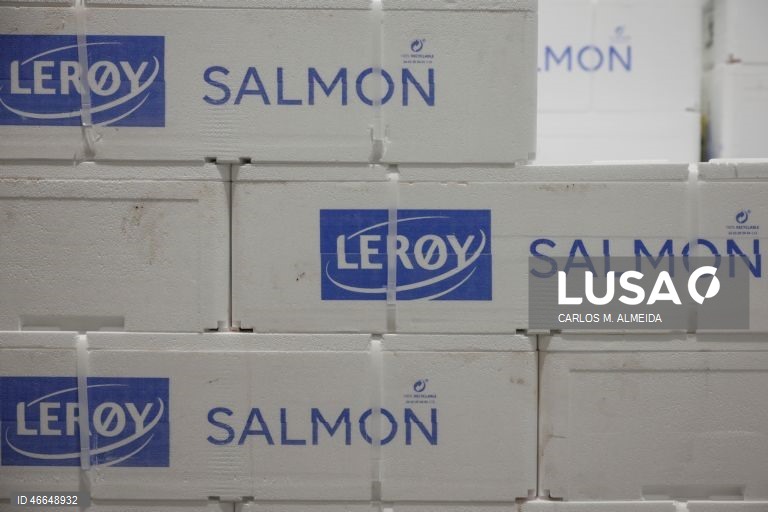 Processamento de pescado na empresa Leroy na ilha de Hitra na Noruega