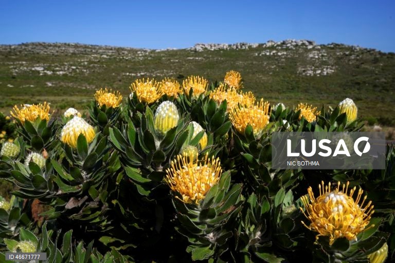 A 03 de março comemora-se o Dia Mundial da Vida Selvagem