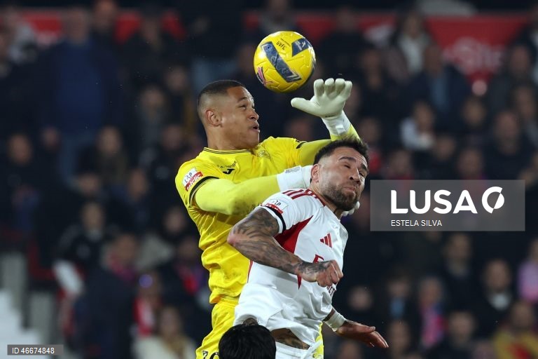 I Liga: Gil Vicente vs Benfica