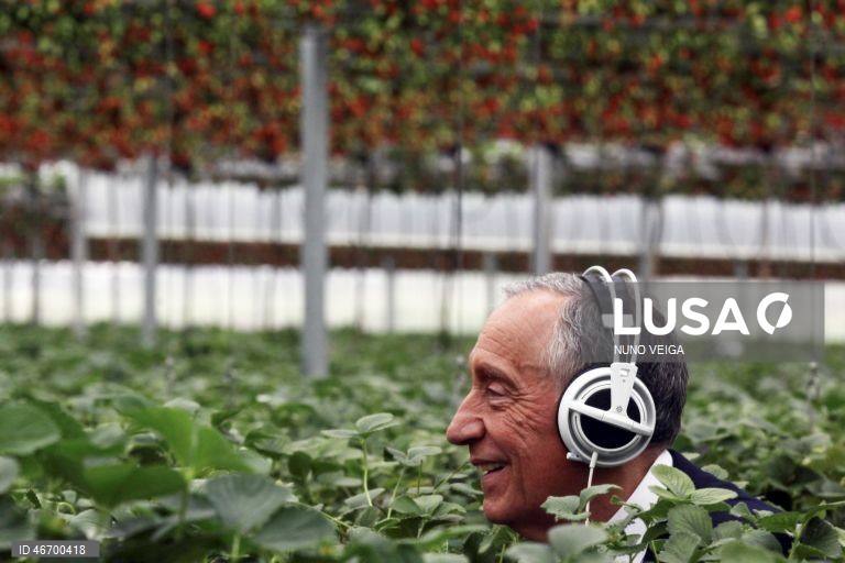 (2 de 30) Conjunto de fotografias dos dez anos de Presidência da República de Marcelo Rebelo de Sousa - O Presidente da República, Marcelo Rebelo de Sousa, é entrevistado para um canal do YouTube no meio de uma plantação de morangos, no âmbito da iniciativa "Portugal Próximo", em Beja, 23 de abril de 2016. NUNO VEIGA/LUSA