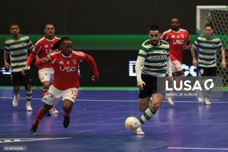 O Sporting garantiu hoje a sua sexta presença consecutiva na ‘final four’ da Liga dos Campeões de futsal impondo-se ao Benfica por 7-4, na segunda mão dos quartos de final, recuperando da derrota averbada na casa dos campeões nacionais.