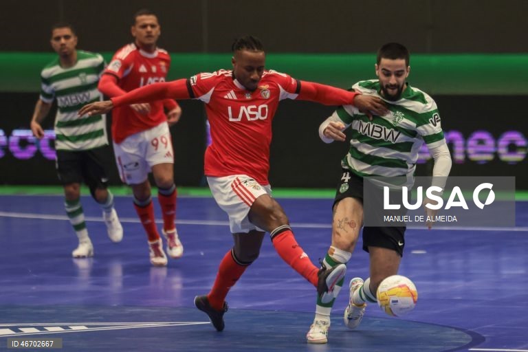 O Sporting garantiu hoje a sua sexta presença consecutiva na ‘final four’ da Liga dos Campeões de futsal impondo-se ao Benfica por 7-4, na segunda mão dos quartos de final, recuperando da derrota averbada na casa dos campeões nacionais.