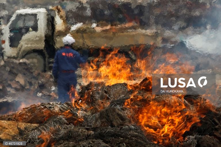 Japão: 15º aniversário do tsunami e desastre nuclear de Fukushima