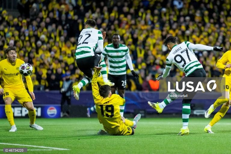 Futebol: Liga dos Campeões - Bodø/Glimt vs Sporting