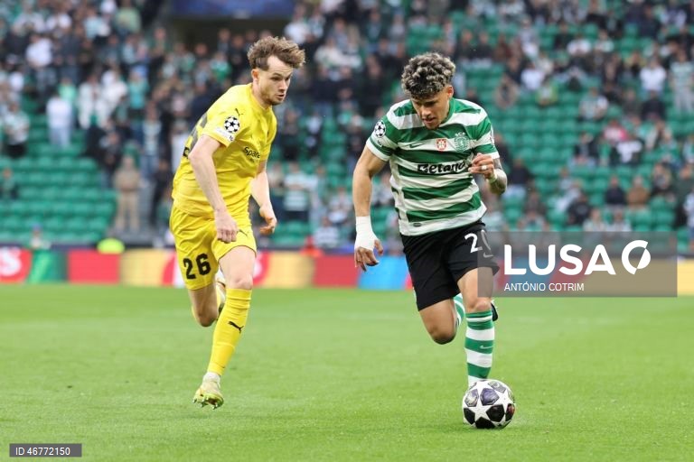 Futebol: Liga dos Campeões: Sporting vs Bodø/Glimt