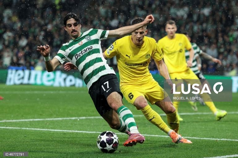 Futebol: Liga dos Campeões: Sporting vs Bodø/Glimt