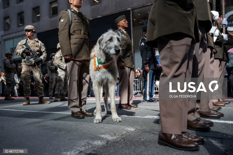 EUA: Celebração do Dia de St. Patrick em Nova Iorque