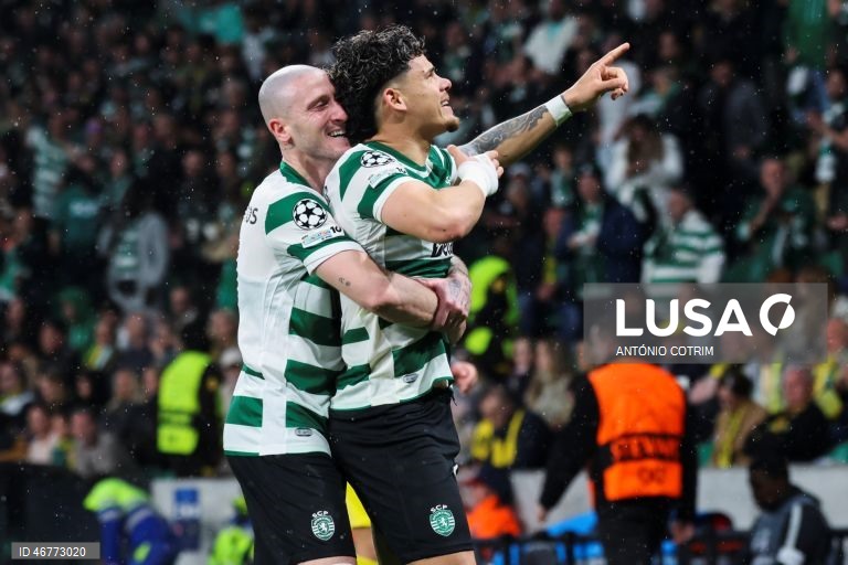 Futebol: Liga dos Campeões: Sporting vs Bodø/Glimt