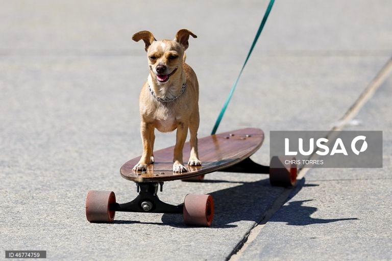 EUA: Onda de calor em Los Angeles