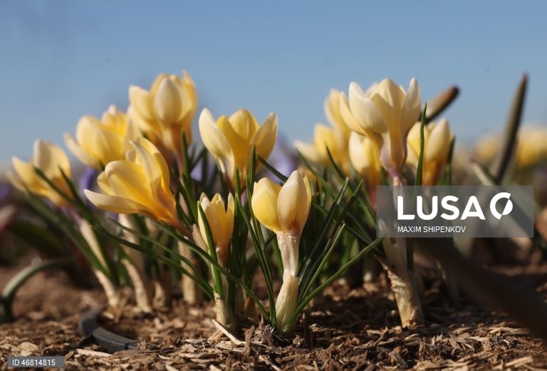Rússia: Dia de Primavera em Moscovo