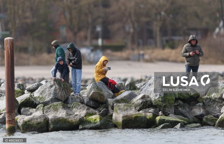 Uma baleia encontra-se encalhada na costa do Mar Báltico, em Timmendorfer Strand na Alemanha