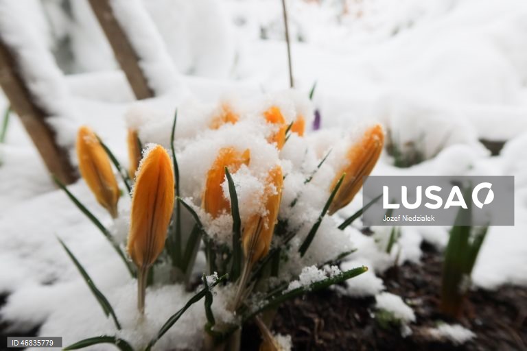 Polónia: Nevão em Zakopane