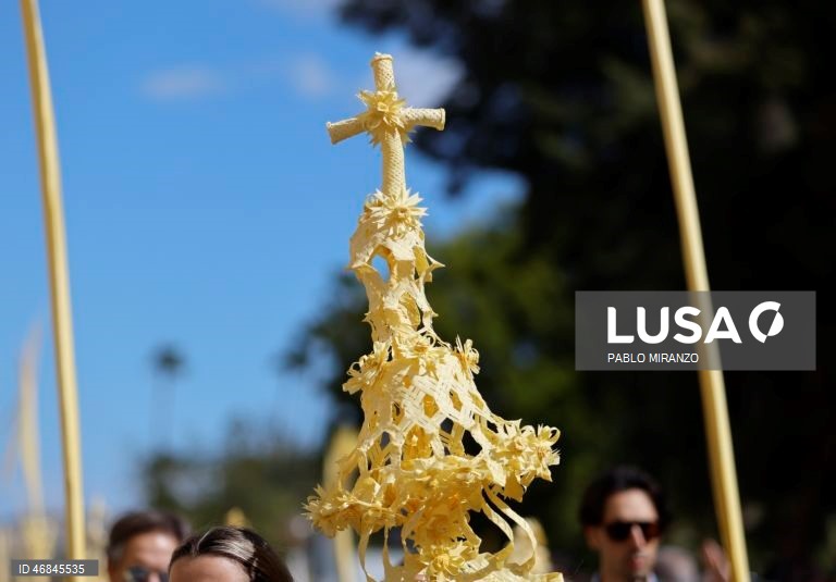 Celebrações do Domingo de Ramos pelo mundo
