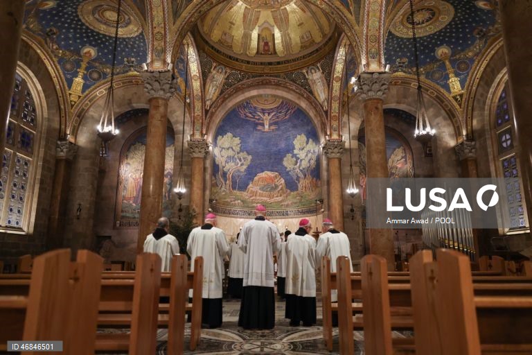 Celebrações do Domingo de Ramos pelo mundo