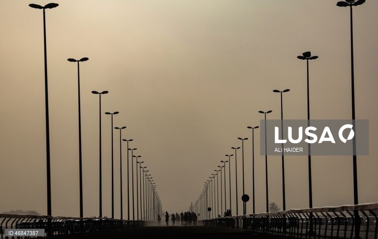 Dubai: Campeonato C1 da Série de Corridas de Camelos Fêmeas