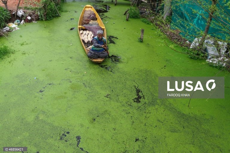 Índia: Vida quotidiana em Srinagar
