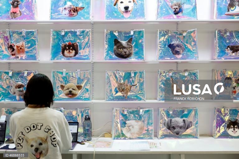 Exposição de animais de companhia Tóquio 2026