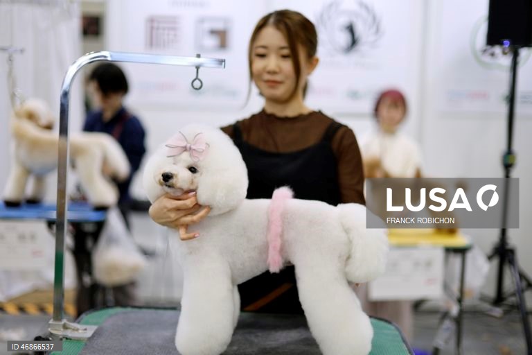 Exposição de animais de companhia Tóquio 2026
