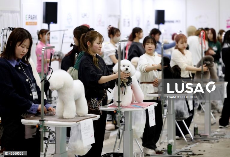 Exposição de animais de companhia Tóquio 2026