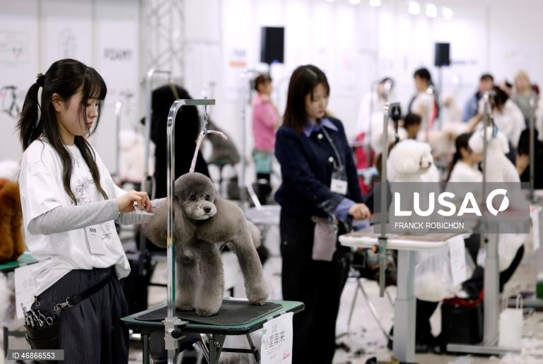Exposição de animais de companhia Tóquio 2026