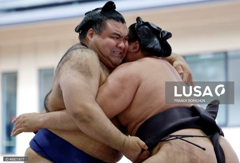 Japão: Torneio de sumo em Tóquio