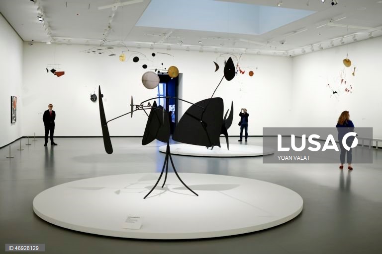 França: Exposição de Alexander Calder na Fundação Louis Vuitton
