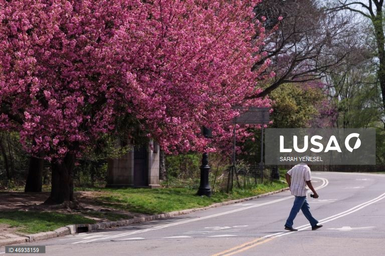 EUA: Primavera em Nova Iorque