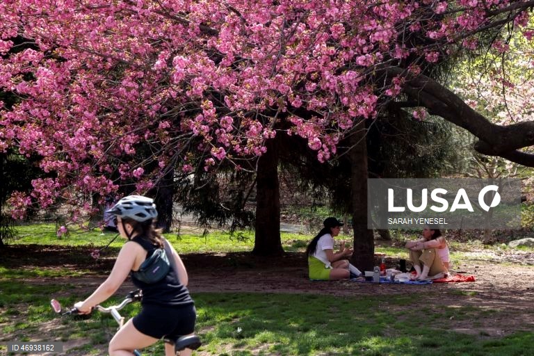 EUA: Primavera em Nova Iorque