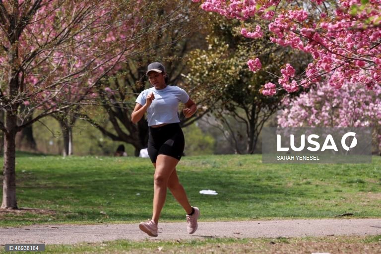 EUA: Primavera em Nova Iorque