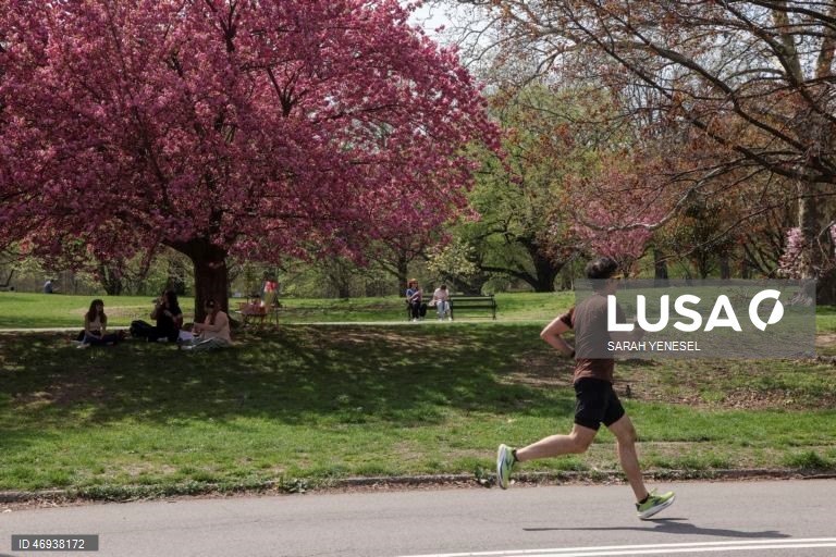 EUA: Primavera em Nova Iorque