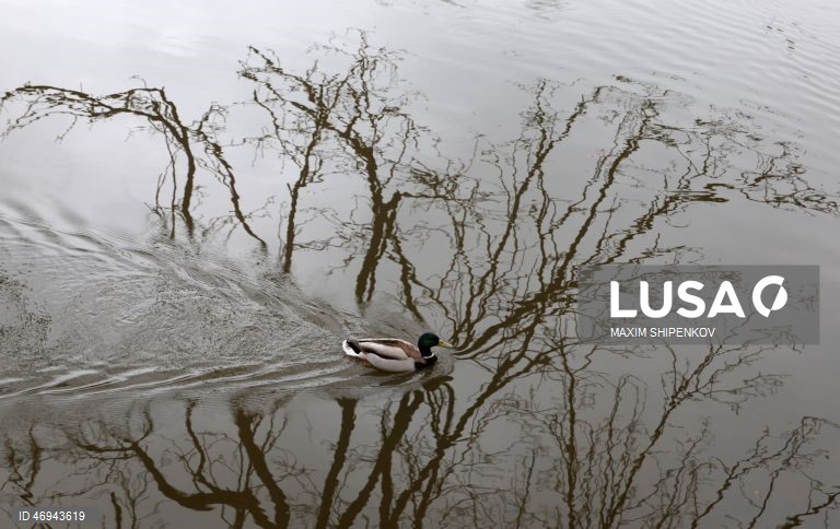 Rússia: Primavera em Moscovo