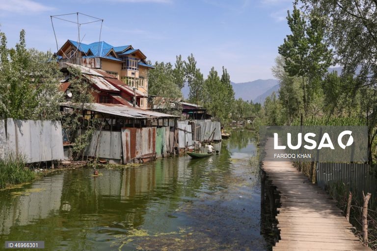 Índia: Lago Dal em Srinagar na Caxemira indiana
