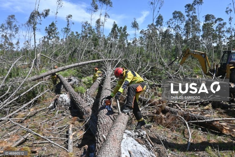 Sapadores florestais cortam arvores para garantir acessos aos pinhais em caso de emergências, em Marinha Grande, 24 de abril de 2026. As pessoas ainda aguardam que a vida volte ao normal na zona do Pinhal de Leiria, depois da passagem da tempestade Kristin a 28 de fevereiro. (ACOMPANHA TEXTO DE 27 DE ABRIL DE 2026). CARLOS BARROSO/LUSA