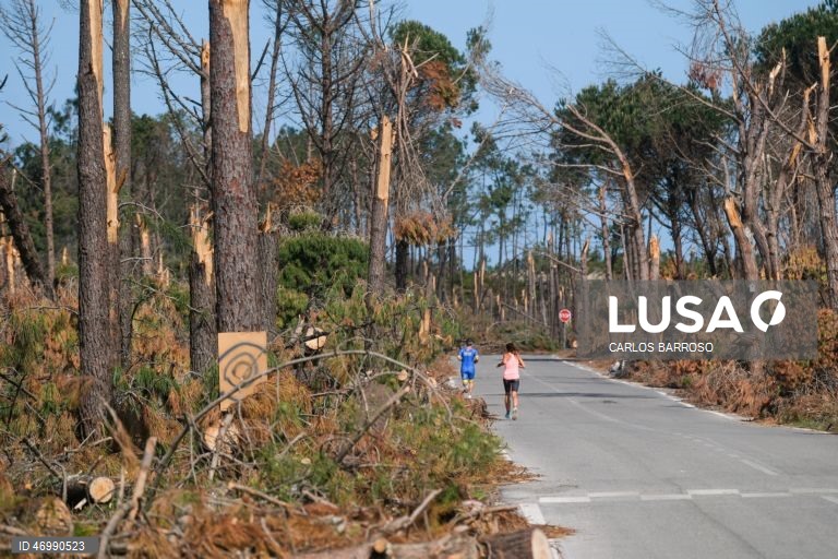 Imagens do Pinhal de Leiria na zona da Marinha Grande onde há ainda muito trabalho a realizar pelas autoridades, 24 de abril de 2026. As pessoas ainda aguardam que a vida volte ao normal na zona do Pinhal de Leiria, depois da passagem da tempestade Kristin a 28 de fevereiro. (ACOMPANHA TEXTO DE 27 DE ABRIL DE 2026). CARLOS BARROSO/LUSA