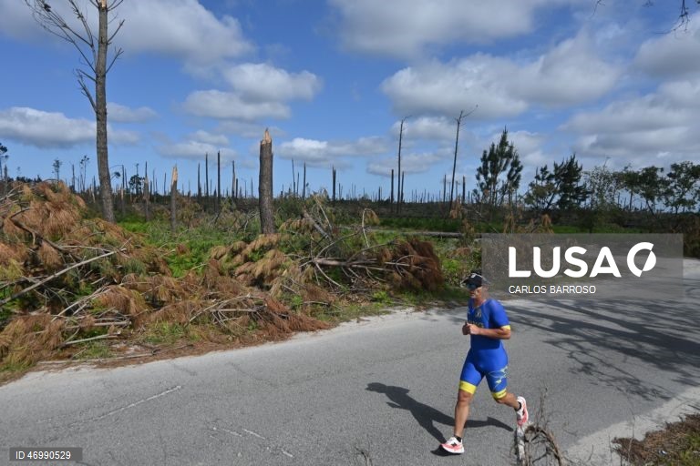 Imagens do Pinhal de Leiria na zona da Marinha Grande onde há ainda muito trabalho a realizar pelas autoridades, 24 de abril de 2026. As pessoas ainda aguardam que a vida volte ao normal na zona do Pinhal de Leiria, depois da passagem da tempestade Kristin a 28 de fevereiro. Várias equipas andam no Pinhal do Rei, no concelho da Marinha Grande, a limpar caminhos e aceiros, numa corrida contra o tempo para se reduzir o risco de incêndio antes de o verão chegar. (ACOMPANHA TEXTO DE 27 DE ABRIL DE...