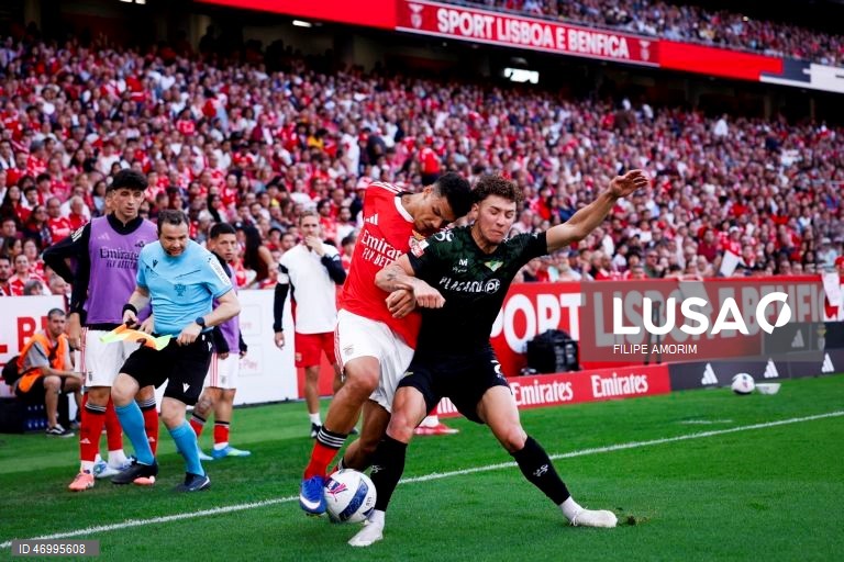 Benfica vs Moreirense