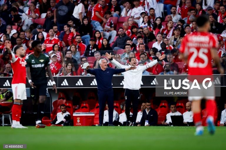 Benfica vs Moreirense