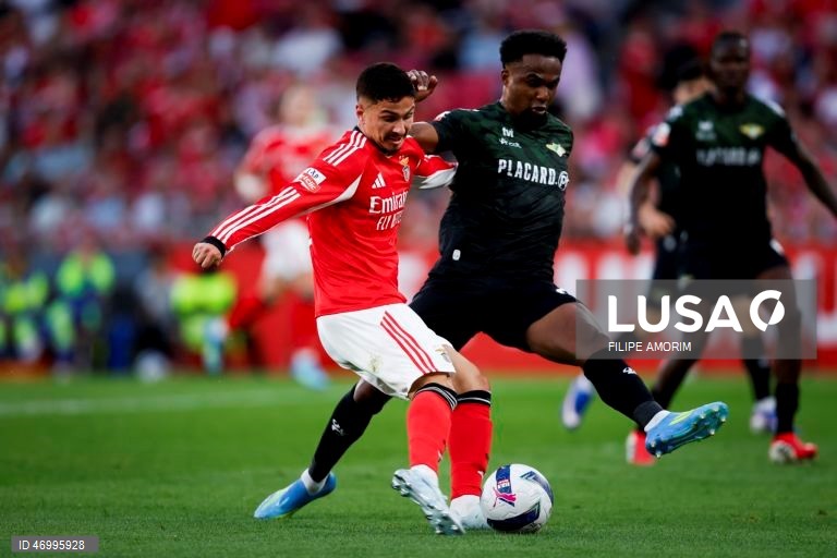 Benfica vs Moreirense