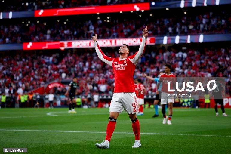 Benfica vs Moreirense