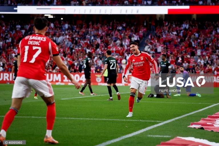 Benfica vs Moreirense