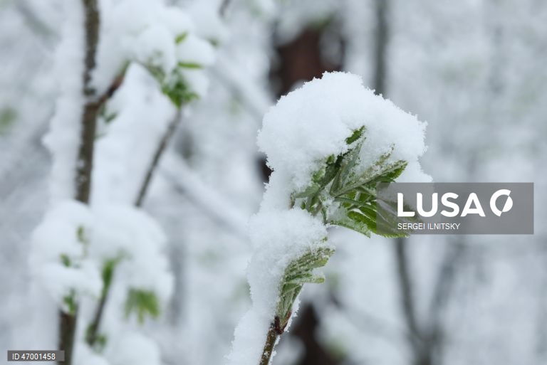Rússia: Queda de neve em Moscovo