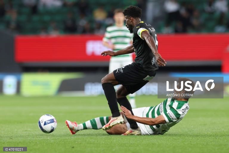 I Liga: Sporting vs Tondela