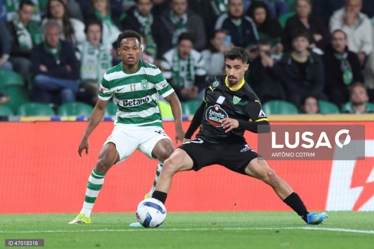 I Liga: Sporting vs Tondela