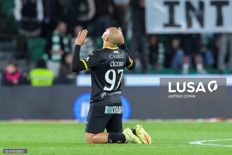 I Liga: Sporting vs Tondela