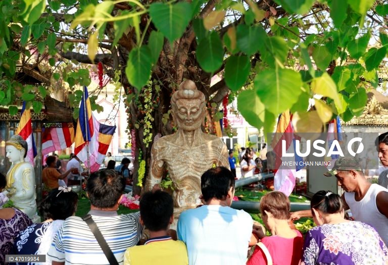 Myanmar: Celebrações do Dia do Buda