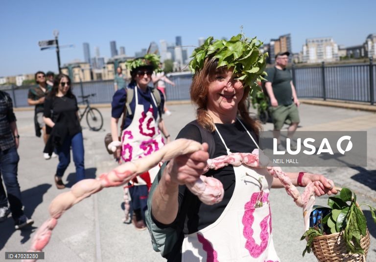 O «Jack in the Green» de Deptford celebra o 1 de maio em Londres.