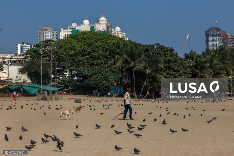 Autoridades indianas emitem um alerta amarelo de calor para Mumbai