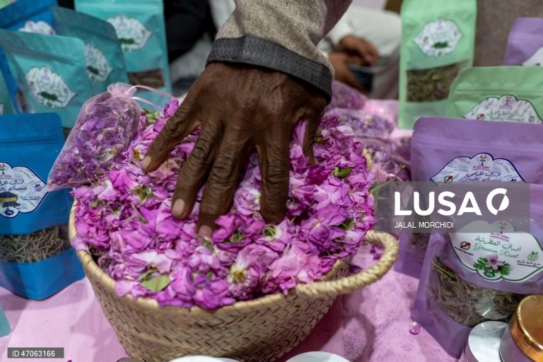 Marrocos: Festival das Rosas em Kelaat M`Gouna